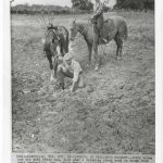 1963 Effects of Prolonged Drought